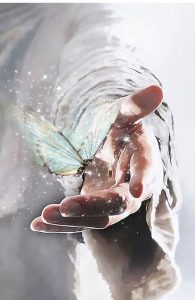 مهربانی های کوچک