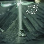 چیزهایی که هیچ وقت به زبان نیاوردیم