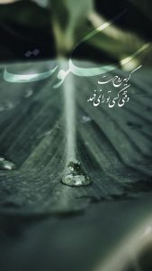 چیزهایی که هیچ وقت به زبان نیاوردیم