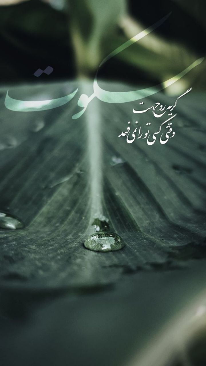 چیزهایی که هیچ وقت به زبان نیاوردیم